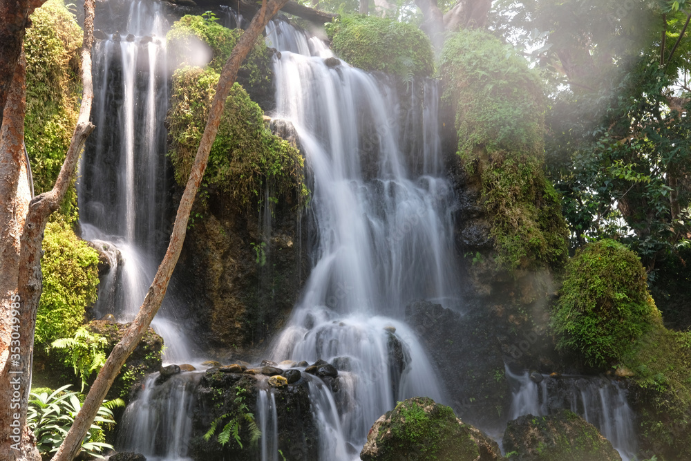 Obraz premium waterfall in the forest wallpaper background