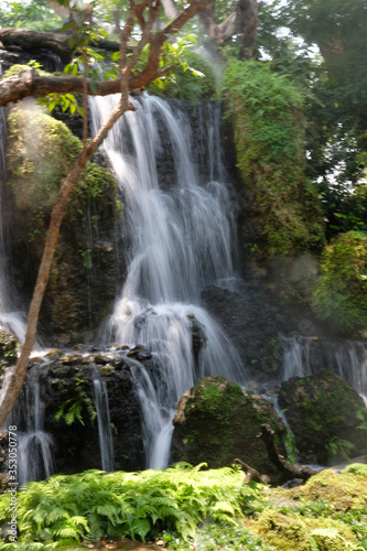 waterfall in the forest