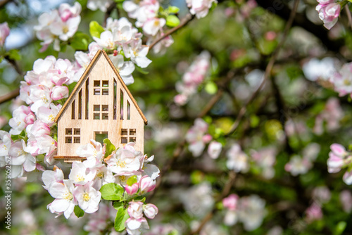 Symbol of the house on the branches of a flowering apple 