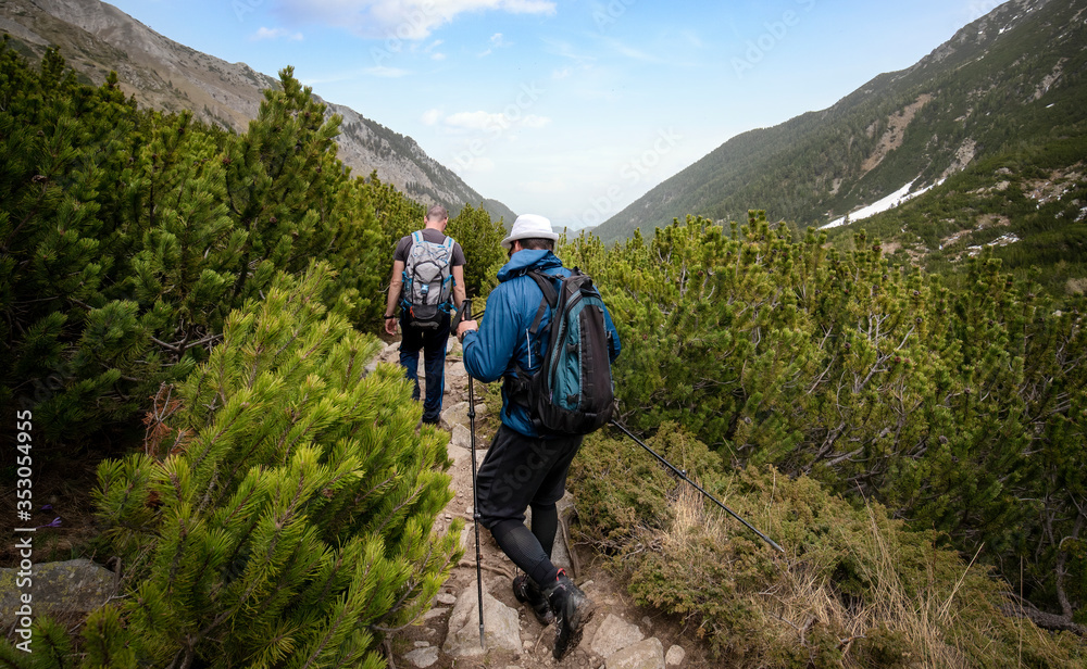 Two young men walk down a path with sticks and backpacks at the mountain. Hikers in Pirin mountain, Bulgaria. Beautiful spring green landscape