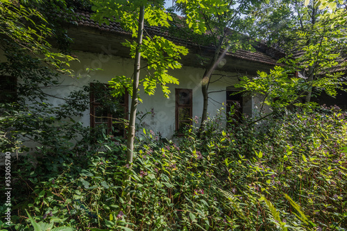 uninhabited overgrown house in the forest