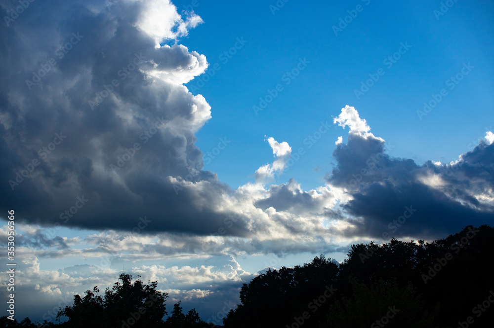 built animals in the clouds blue sky dark silhouette built animals in the clouds blue sky dark silhouette