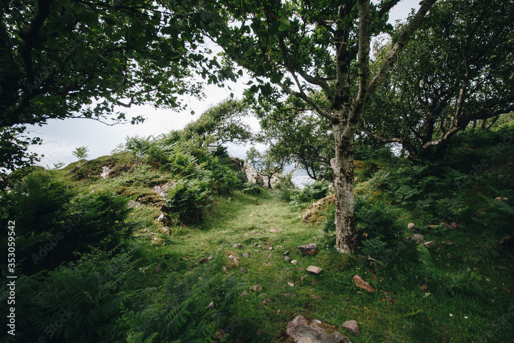 Scottish Landscape Scottish Landscape