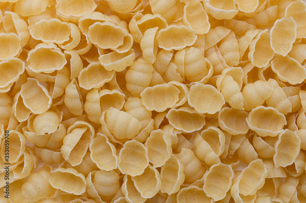 Background of uncooked pasta Conchiglie. Dry pasta in the shape of shells. Background of uncooked pasta Conchiglie. Dry pasta in the shape of shells.