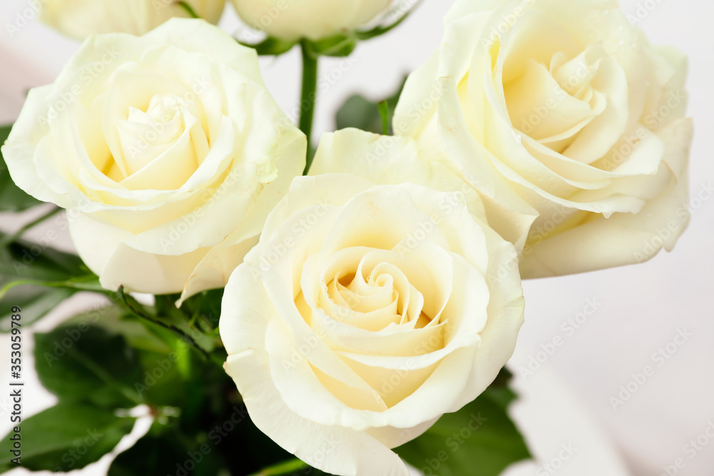 Bouquet of beautiful white roses, closeup Bouquet of beautiful white roses, closeup