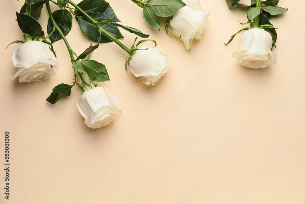 Beautiful white roses on color background Beautiful white roses on color background