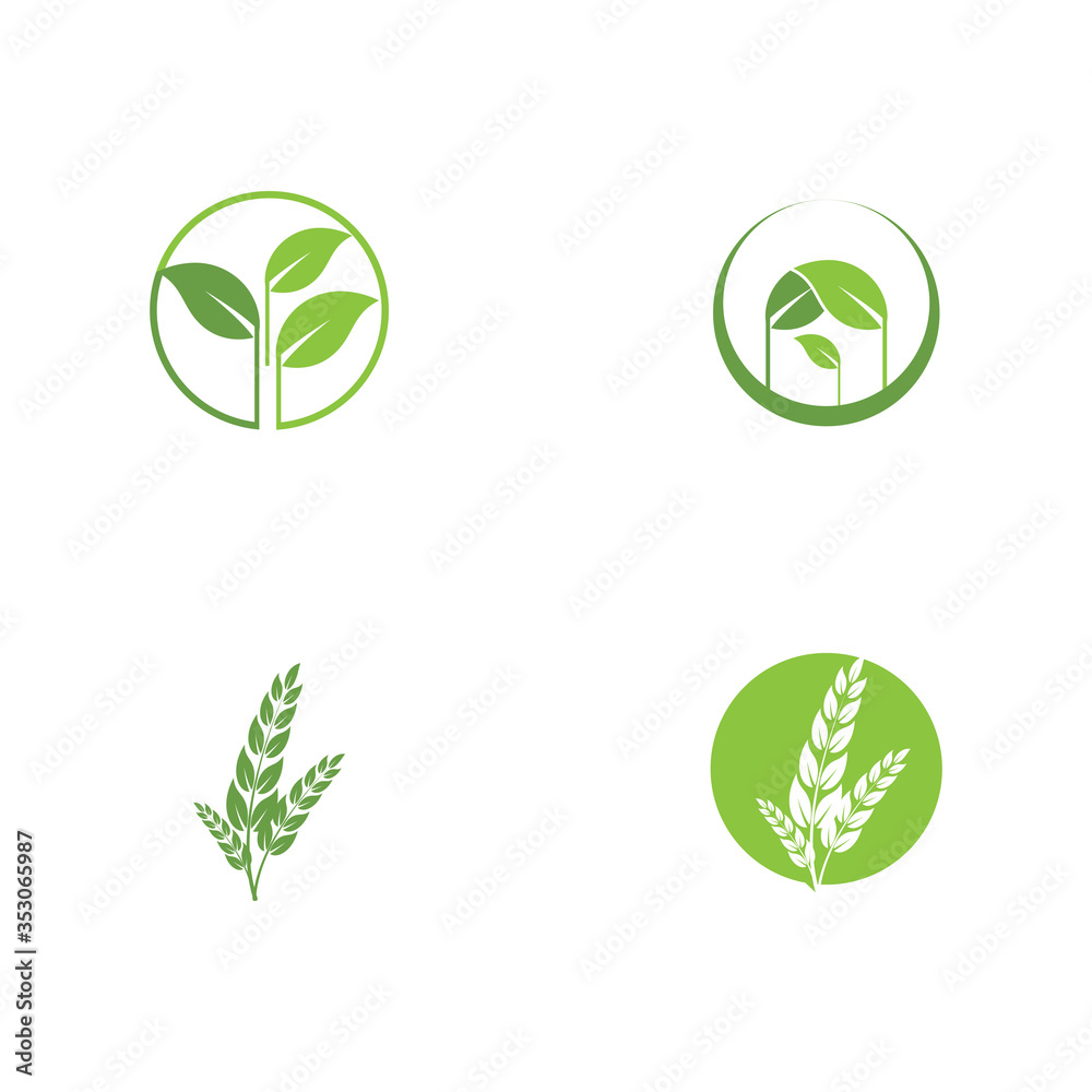 Set Leaf Logo Template vector Set Leaf Logo Template vector