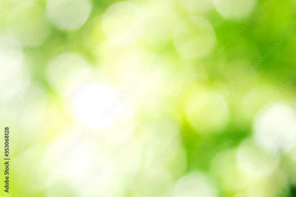 Sunny defocused green nature background, abstract bokeh effect es element for your design. Sunny defocused green nature background, abstract bokeh effect es element for your design.