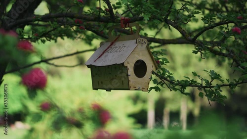 Close-up of empty bird feeders hanging on a tree. Animal care