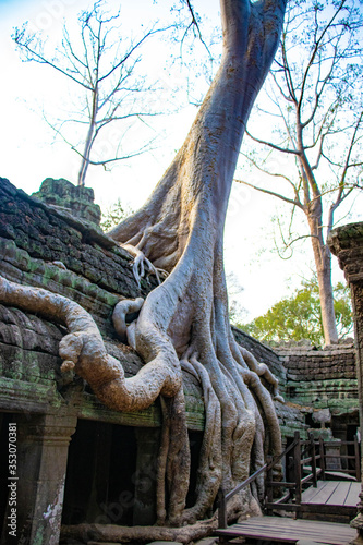 A beautiful view of Ta Phrom temple at Siem Reap  Cambodia.