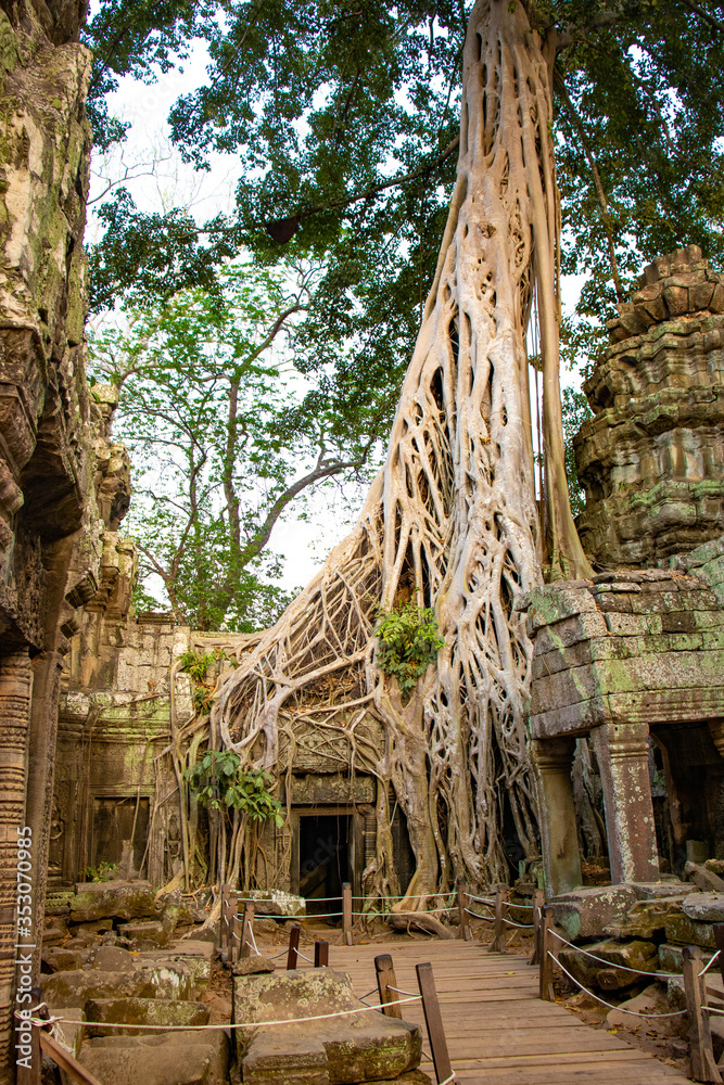 A beautiful view of Ta Phrom temple at Siem Reap, Cambodia.