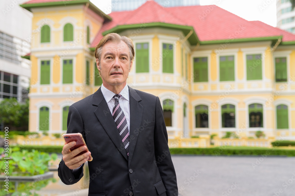 Mature handsome businessman using phone in the city outdoors Mature handsome businessman using phone in the city outdoors