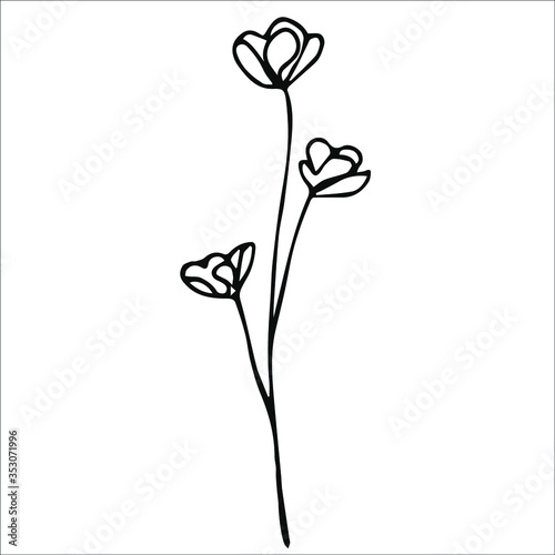 Simple line flowers. Spring flower outline. Isolated flower stock illustration. Flower in bloom. Black flower on white background.