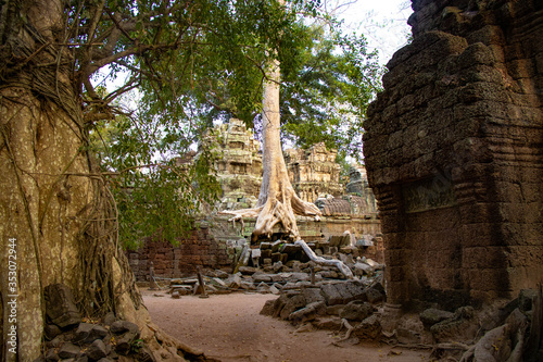 A beautiful view of Ta Phrom temple at Siem Reap, Cambodia.