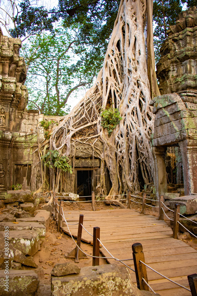 Fototapeta premium A beautiful view of Ta Phrom Temple at Siem Reap, Cambodia.