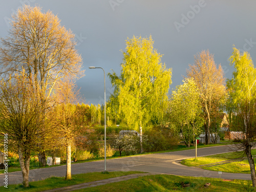 colorful landscape with colorful trees in the evening light, a small village view of the street