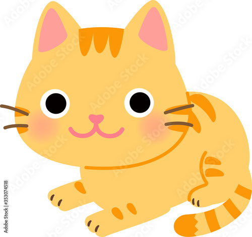 腹這いのポーズの猫