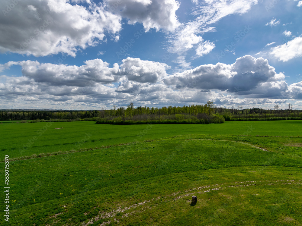 spring landscape with bright green grass and beautiful white cumulus clouds spring landscape with bright green grass and beautiful white cumulus clouds