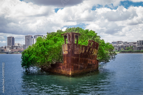 Sights Of Sydney. Ship-forest photo