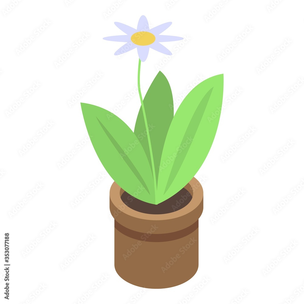 Home flower pot icon. Isometric of home flower pot vector icon for web design isolated on white background