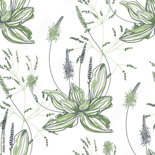 Seamless pattern of plantain with flowers and leaves on white background.