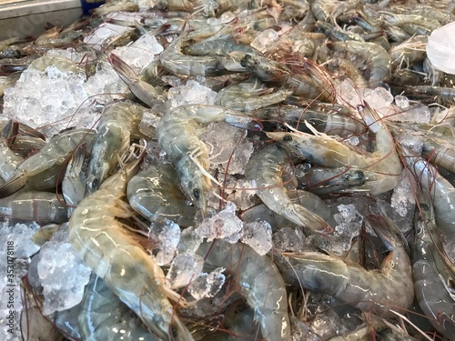 fresh raw shrimps