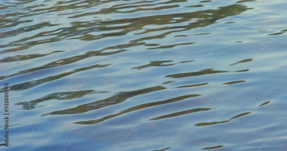 clean water flowing in a small mountain river, slow motion and shallow depth clean water flowing in a small mountain river, slow motion and shallow depth