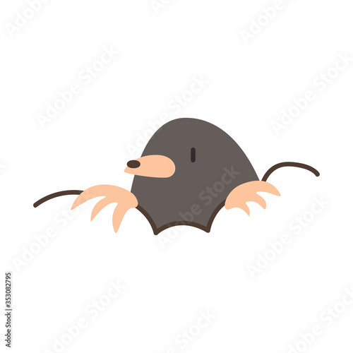 cute mole animal vector photo