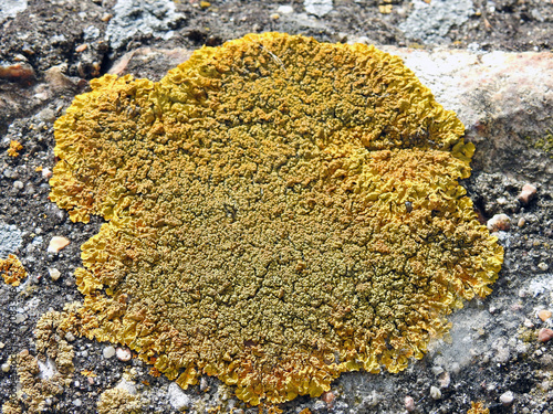 texture surface grunge 