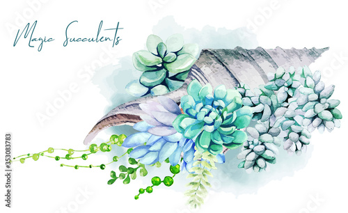 Greeting card design with succulents growing in sea shell