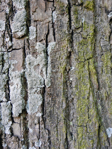 texture surface grunge 