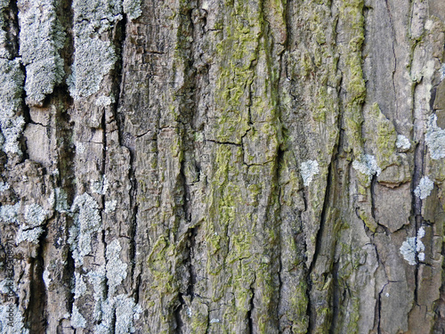 texture surface grunge 