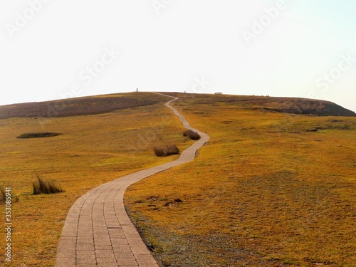 yellowish path to the sky