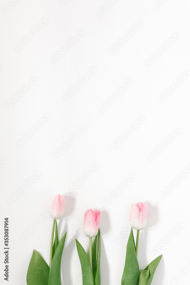 The minimalist trend is a stylish greeting card for mother's day. Pink tulips on a background with copy space