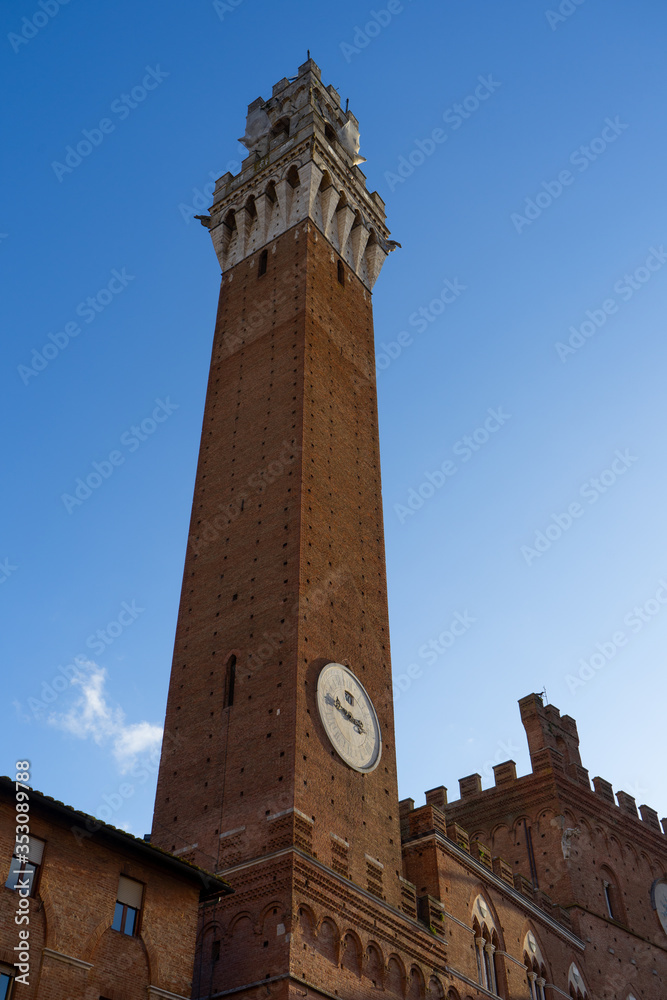 View of the Tower of Mangia in 