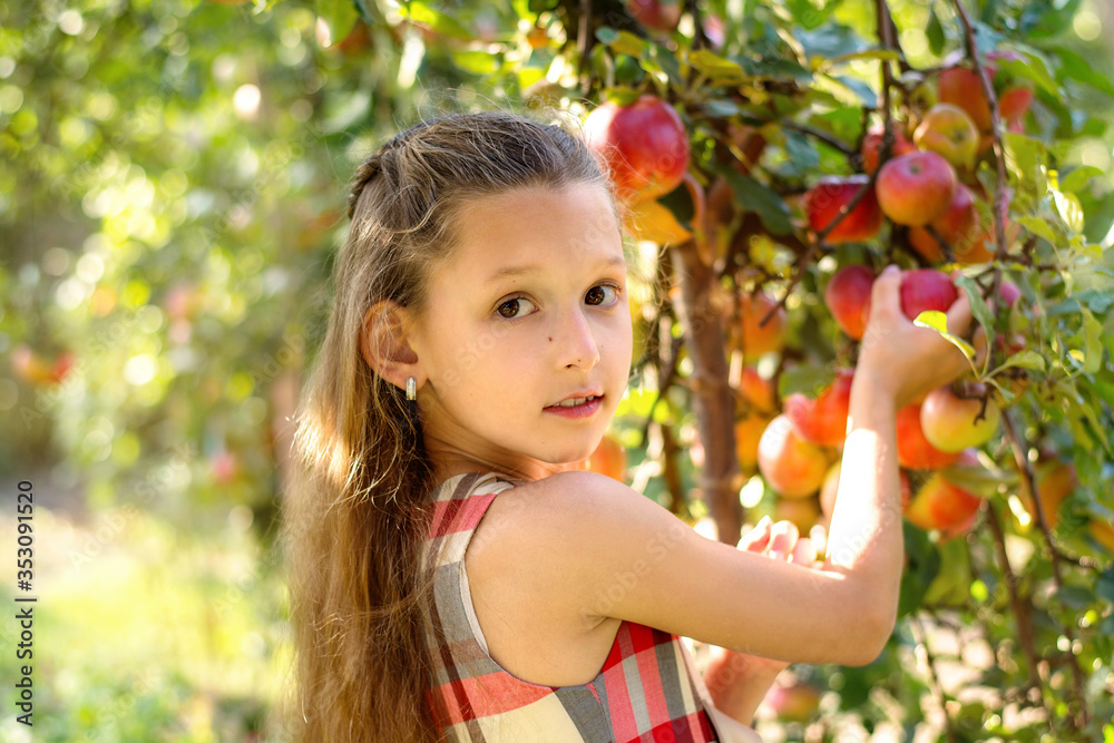 Beautiful girl harvests apples. Apple orchard. The child holds apples and a basket with apples in his hands. A walk in the garden. Long-haired girl smiles and walks in nature
Beautiful girl harvests apples. Apple orchard. The child holds apples and a basket with apples in his hands. A walk in the garden. Long-haired girl smiles and walks in nature