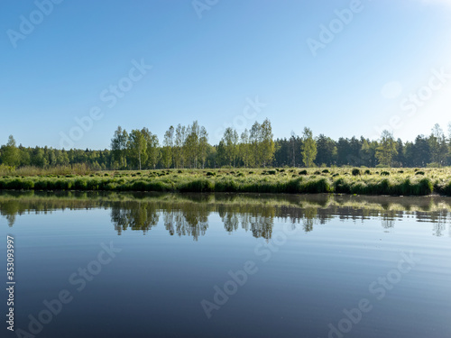 spring landscape with a beautiful calm river, green trees and grass on the river bank, peaceful reflection in the river water