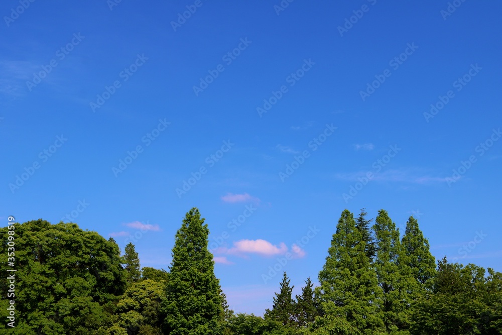 新緑 青空 風景 爽やか 新緑 青空 風景 爽やか