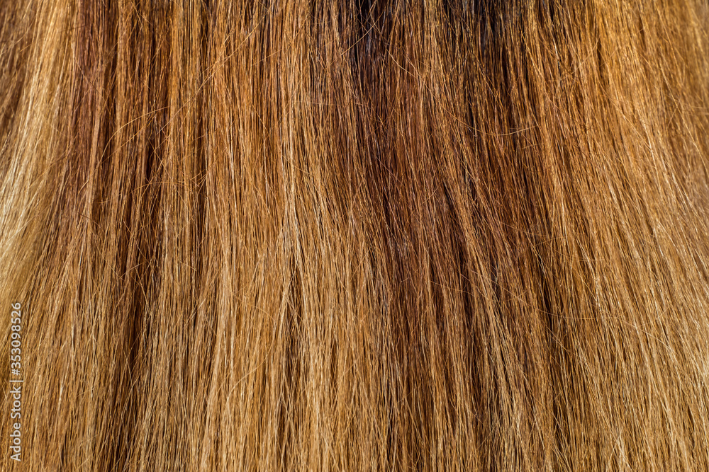 Blond Hair Texture, close view Blond Hair Texture, close view