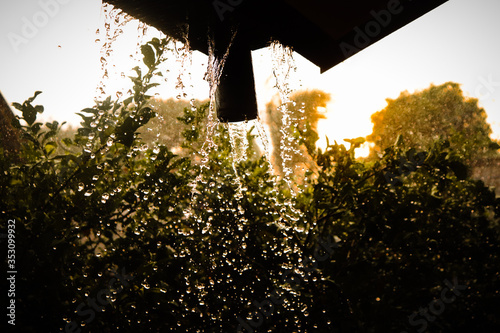sunset in the garden