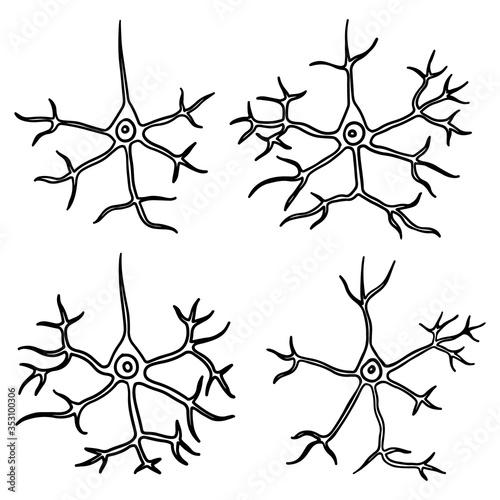 Hand-drawn neurons. Neuron cells. Simplified illustration of pyramidal neurons. Brain cortex cells. Science, neurobiology, neuroscience, biology, brain. Black outlines.