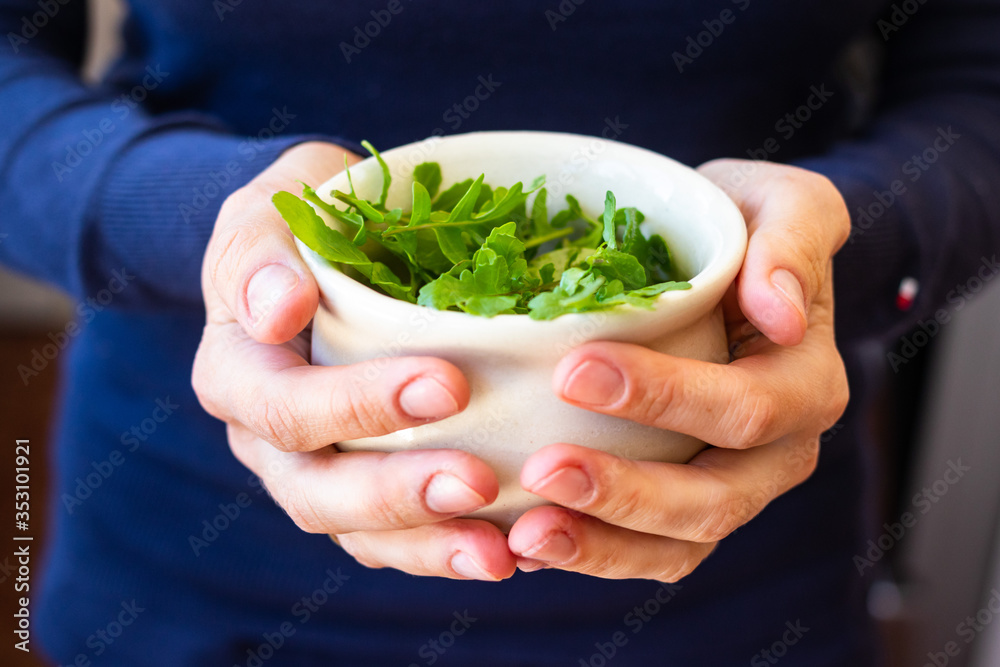 Fresh green rucola herb grass spice in woman hands.