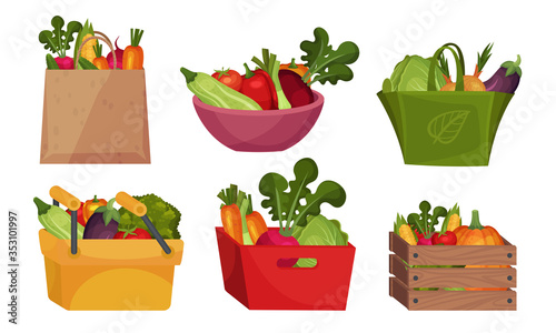 Fresh Vegetables in Paper Bag and Wooden Crate Vector Set