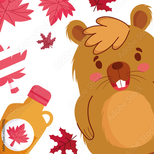 Beaver with canadian leaves and maple syrup of happy canada day vector design
