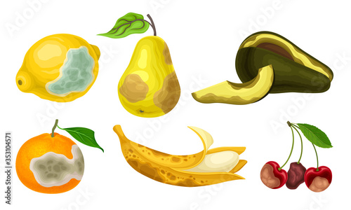 Garden Fruits with Skin Covered with Stinky Rot Vector Set