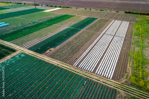 Aerial view of greenhouse and vegetables fields in small farming area. Agricultural field from above.