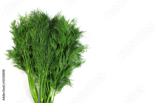 A bundle of Fresh dill on white background close up