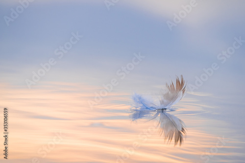 Reflejo de una pluma sobre el agua con suaves colores del atardecer photo