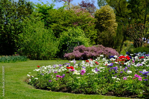 Fiori in primavera photo