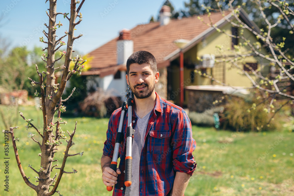 Fototapeta premium young man pruning tree in orchard